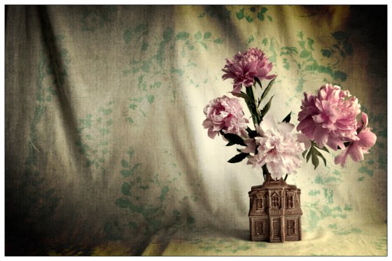 juliasoftcleanpeonyhouse