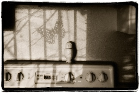 logannonesloppystove