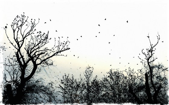 jeanmetalgrungeswarmclose