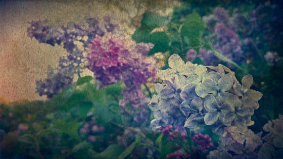 earlcolortinfabric3lilacs-2