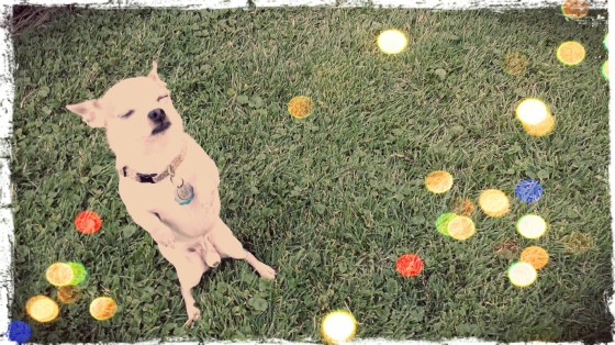 20150719_183531_Carl_Stop_Grunge