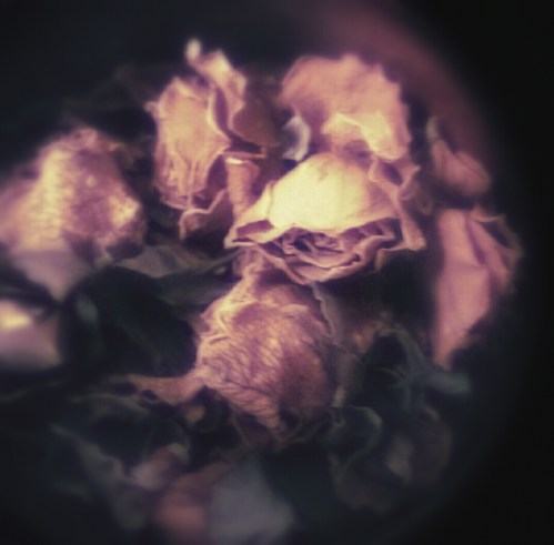 2015-12-21 08.51.54_Primos_Hans-2