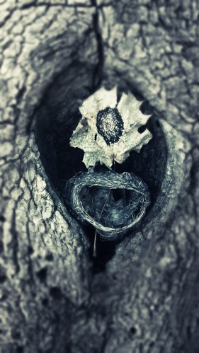 20151219_160113_Tony_Bob