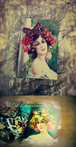 our lady of butterflies-3